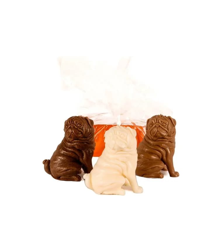 Muğla 3'lü Kahverengi- Beyaz Pug Mum Tasarım Siparişi