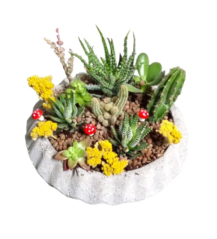 Kars çiçek siparişi: Tropical Cool